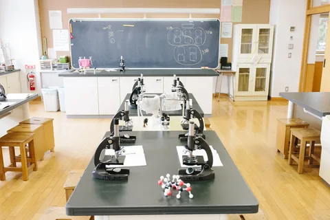 School Feed 5